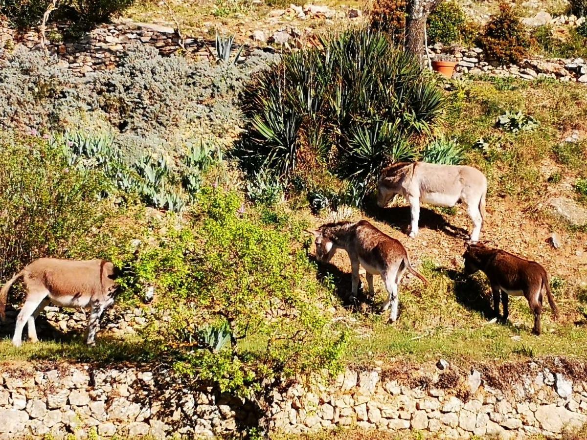 Les Git'Anes De Ponteves Villa Buitenkant foto